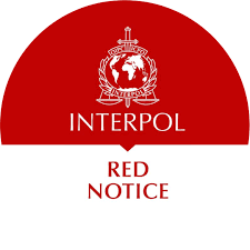 Understanding the Role of Interpol Defense Lawyers 1346242020