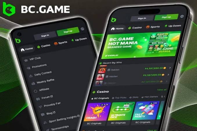 BC Game Login Indonesia A Complete Guide for Players
