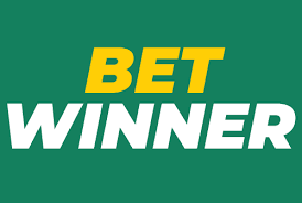 BetWinner Casino Unveiling the Ultimate Gaming Experience
