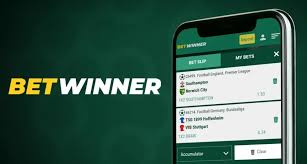 Discover BetWinner Morocco Your Ultimate Betting Hub