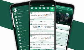Experience the Thrill of Playing Aviator Game at BetWinner
